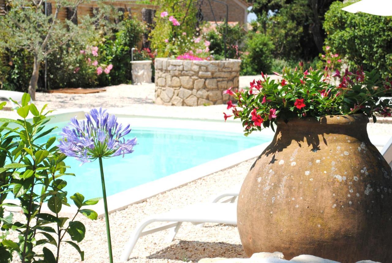 Terre De Bacchus Bed & Breakfast Vacqueyras Exterior photo
