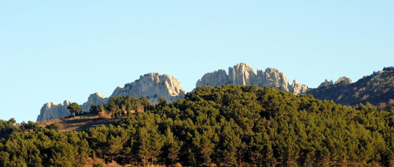Terre De Bacchus Bed & Breakfast Vacqueyras Exterior photo