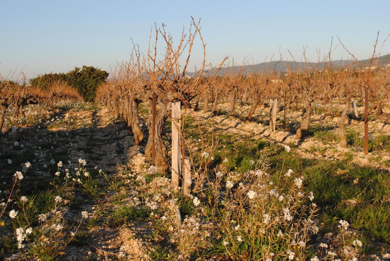 Terre De Bacchus Bed & Breakfast Vacqueyras Exterior photo