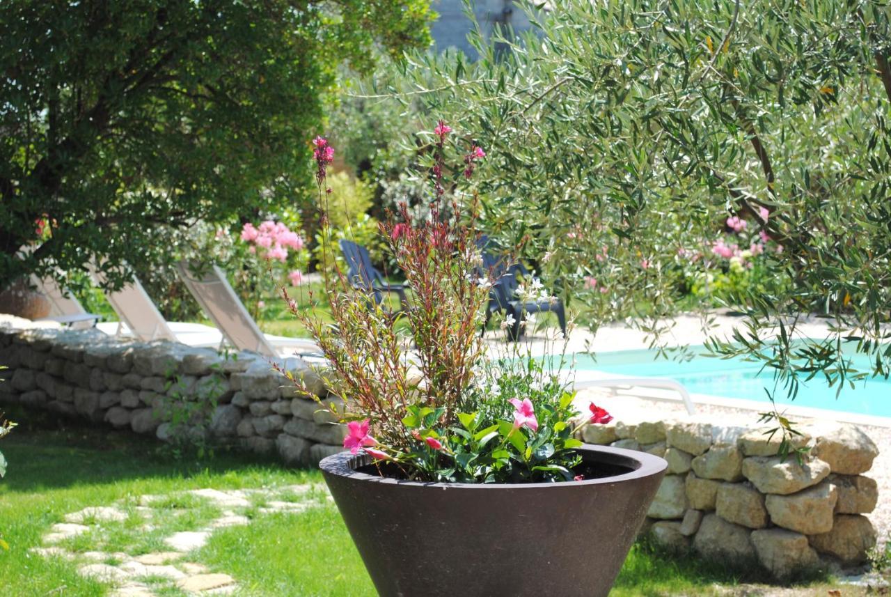 Terre De Bacchus Bed & Breakfast Vacqueyras Exterior photo