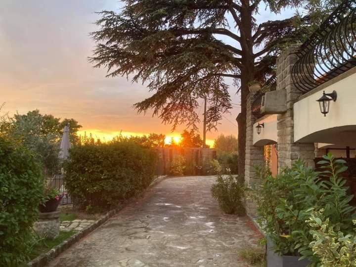 Terre De Bacchus Bed & Breakfast Vacqueyras Exterior photo